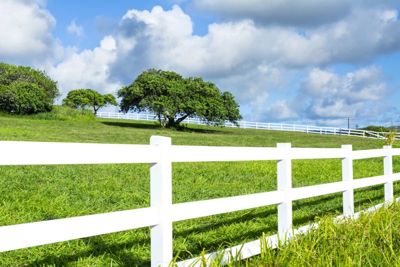 Ranch Style Fence